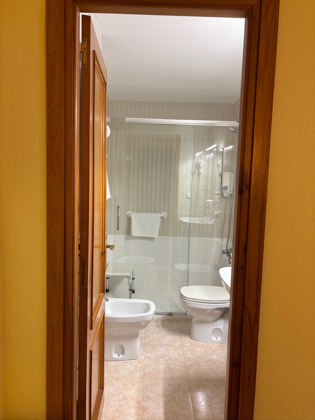 Habitación Individual baño, Hotel Villa de Canfranc