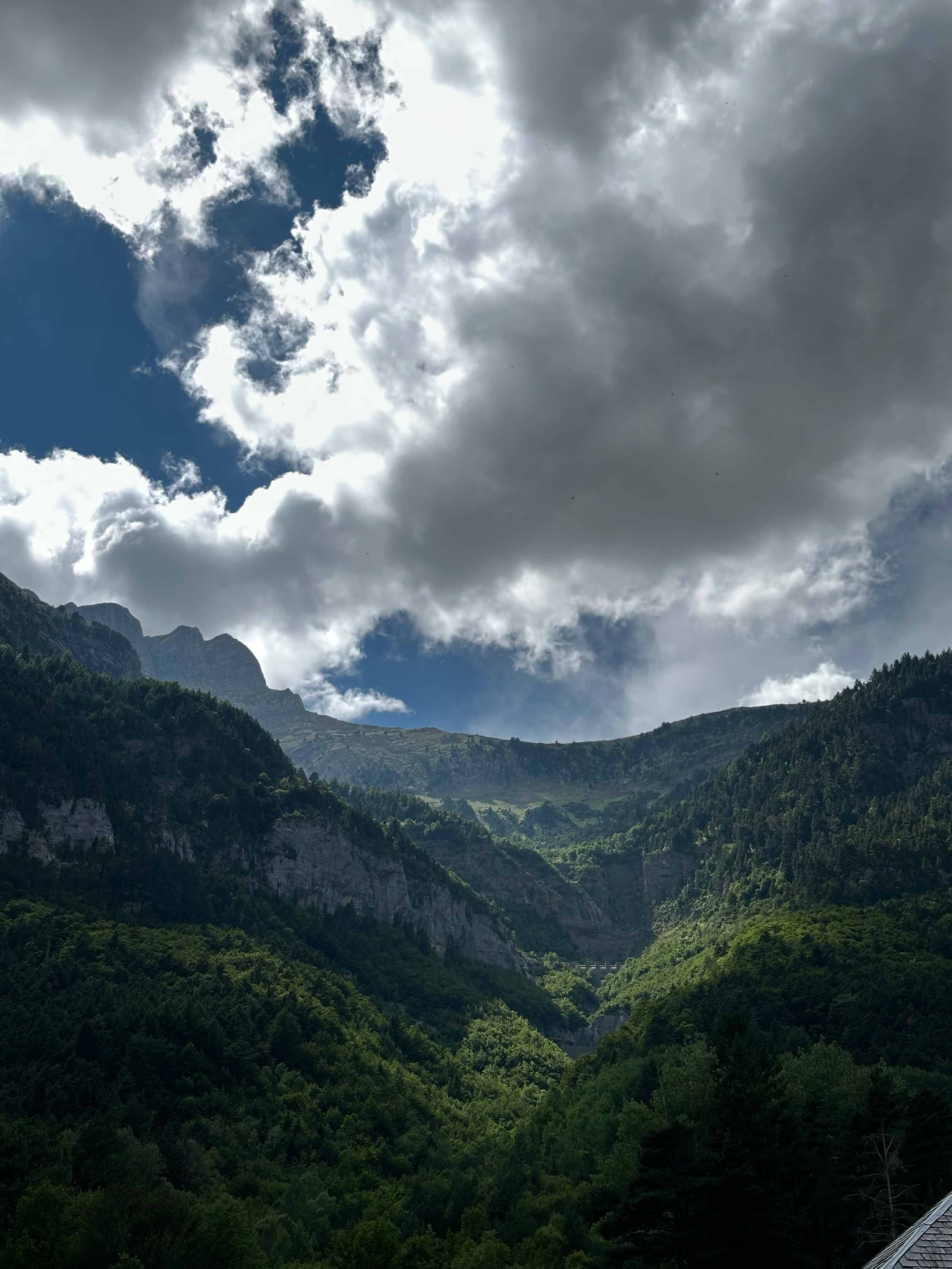 Naturaleza en Canfranc
